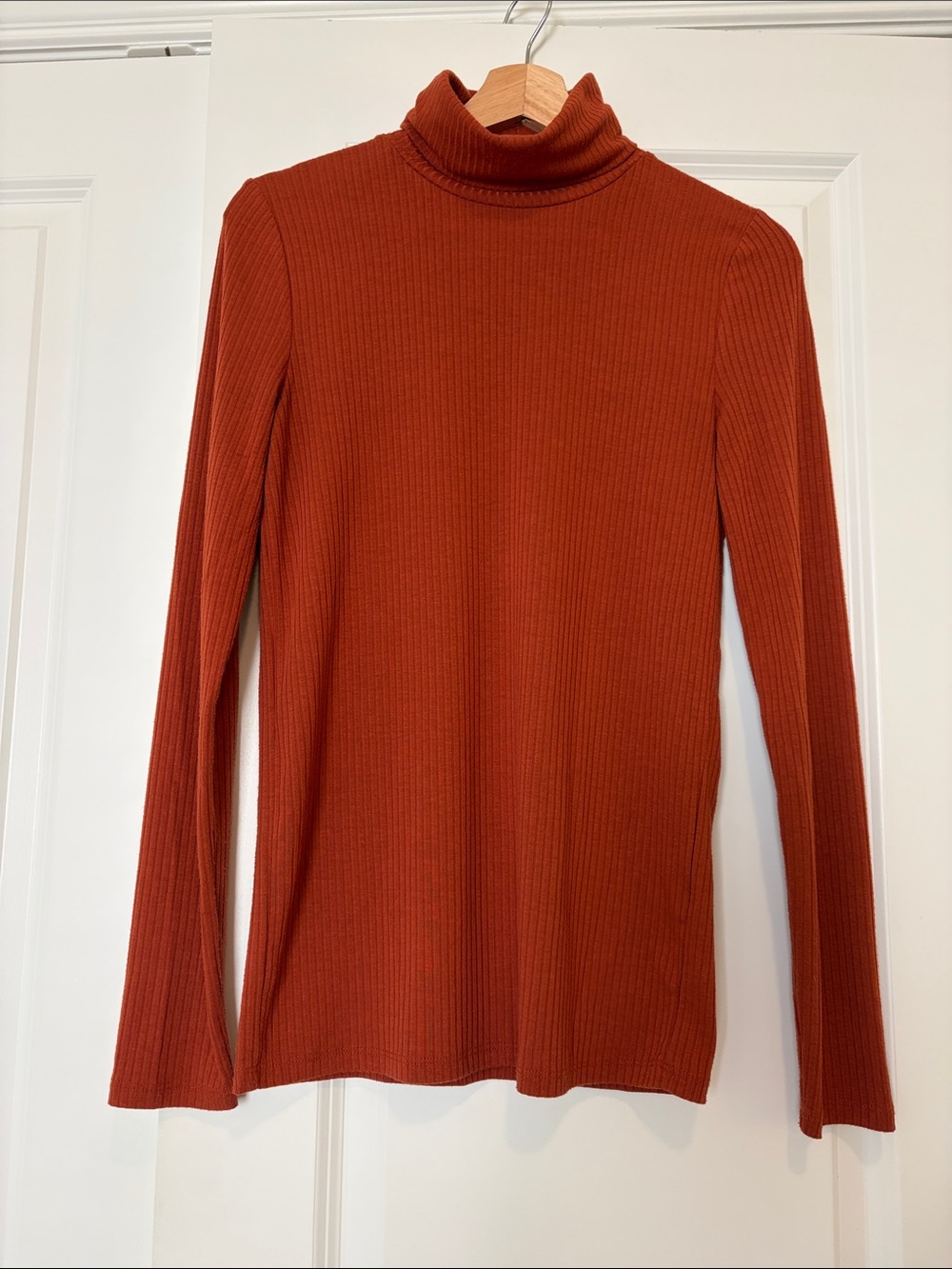 MADEWELL Ribbed Turtleneck in Burnt Orange Size Small
